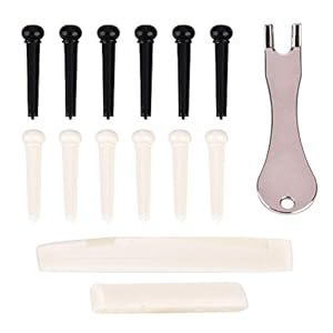 Gitarren Sattel und Nuss Set, Metall Pin Remover mit 12 Bridge Pins Gitarren Reparatur Werkzeuge
