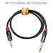Disino 10 feet 1/4 to 1/8 Cable, Mono to Stereo Interconnect Adapter, Professional Quality, Incredible Durability
