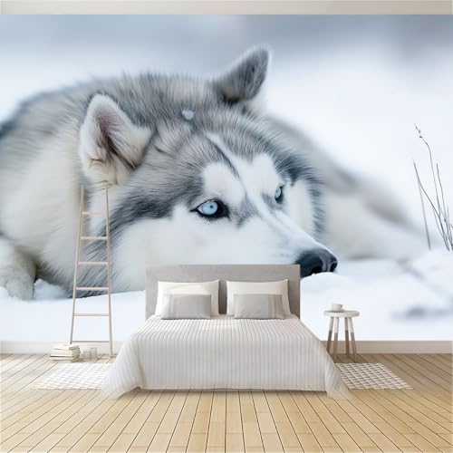 Foto Tapete Wandbild Schnee-Husky 400x280 cm Tapete Vliestapete 3D Effekt Tapete Vlies Wandbild Wohnzimmer Schlafzimme Wanddekoration Fototapete Foto Tapete Wandbild Schnee-Husky 400x280 cm Tapete Vliestapete 3D Effekt Tapete Vlies Wandbild Wohnzimmer Schlafzimme Wanddekoration Fototapete
