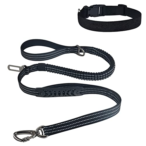 Boost Leash Die 15 besten Produkte im Vergleich Wild erklärt