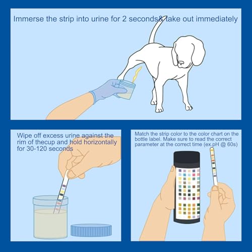 Anseom 100 Stück Urin Teststreifen, Haustier Ketose Teststreifen für 10 Indikatoren, Schnelltest Urinanalysestreifen, Reagenzstreifen Haushalt für Katzen und Hunde