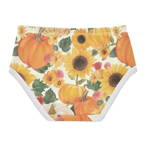Wusikd Pumpkins Sunflowers Girls' Underwear Cotton Watercolor Floral Girls Briefs Soft Toddler Underwear 2T2