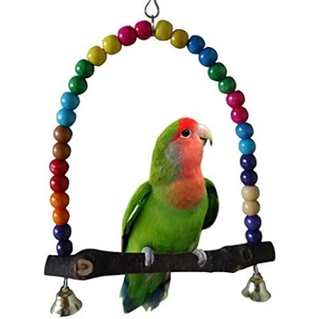 budgie swing with mirror