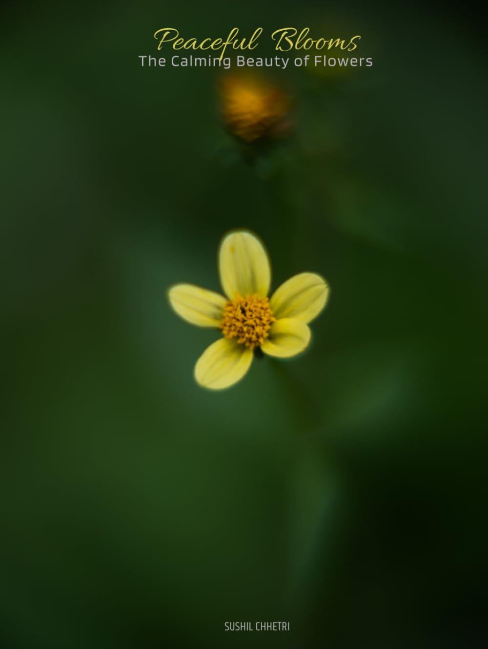 PEACEFUL BLOOMS: The calming beauty of flowers