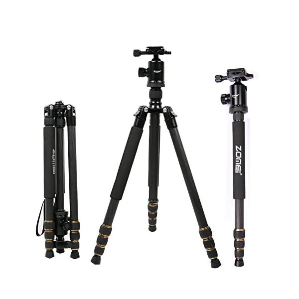 ZOMEI Q666C Kamerastativ für Canon, Nikon, Sony, DSLR, 149,9 cm (59 Zoll)