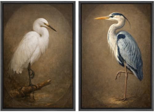 SIGNLEADER Framed Canvas Print Wall Art Set Vintage Heron Bird Portrait Classic Wildlife Egret and Heron Illustrations Modern Relax/Calm for Living Room, Bedroom, Office - 24"" x36 x2 BLACK