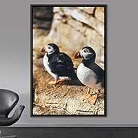 Framed Canvas Wall Art Double Birds Birds Expressive Farmhouse/Country Multicolor Photography Portrait Single - 16x24 inches