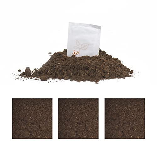 Interflowers Küchenkräuter set - Bio Kräuter Samen & Tee Samen in Geschenkverpackung Anzuchtset Mini Blumenkasten Anzuchtkasten Bio gemüse samen Saatgut für Hochbeet DIY (Tee Healthy Mix) - Image 7