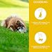 Bio Nachtkerzenöl für Hunde und Katzen, 100ml kaltgepresstes Fellöl 100% Bio aus Deutschland - reich an Omega 3 & 6, Barf Öl, DE-ÖKO-060