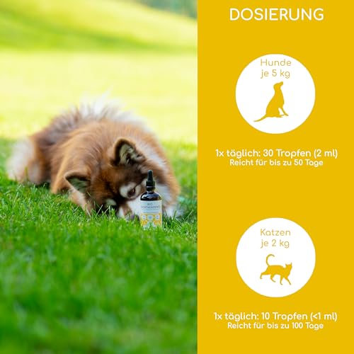 Bio Nachtkerzenöl für Hunde und Katzen, 100ml kaltgepresstes Fellöl 100% Bio aus Deutschland - reich an Omega 3 & 6, Barf Öl, DE-ÖKO-060