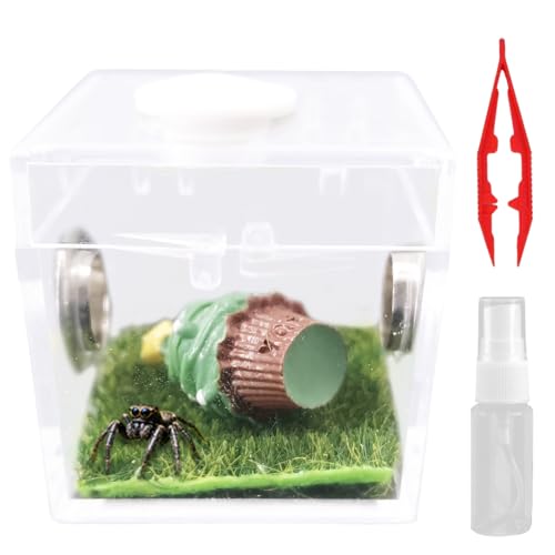 ANWvXpC_[P[X ~jWvXpC_[ ^`P[X }gbNXʋCEt X^C4