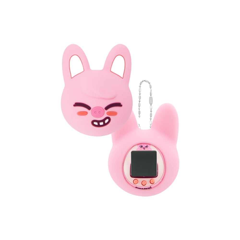 Amazon.com: (Official) SKZOO Digital Game Keyring & CASE Set