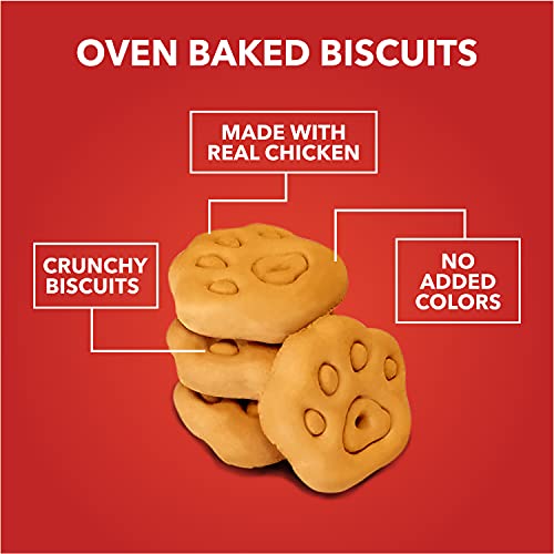 Drools Chicken And Egg Dog Biscuit, Dog Treats Jar, 800g Blogs To