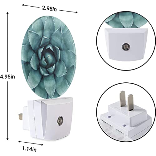 Image of EKOBLA Cactus Night Light, Green Tropical Plant Night Lights Plug Into Wall with Dusk to Dawn Auto Sensor for Bathroom, Hallway, Kitchen and Indoor Home Decor