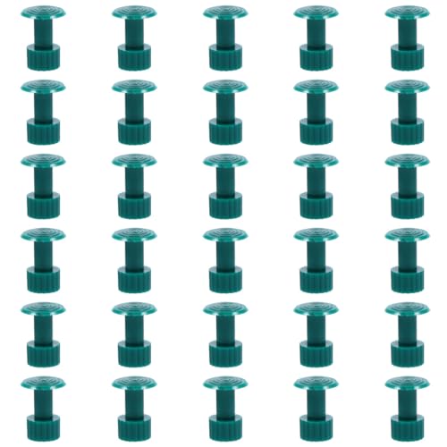 Abaodam Kit de 30 Languettes Débosselage et Boucles Traction pour Outillage Carrosserie, Réparation de Bosses sans Peinture, Usage Professionnel et Personnel