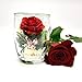 Fiora Flower | Long Lasting Real Roses in a Sealed Vase | Lasts up to 5 Years | Unique Present Gift