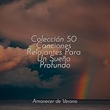 Amanecer de Verano