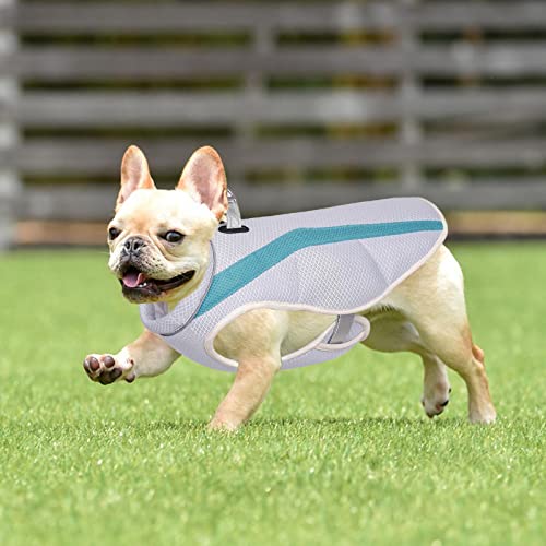 Generic de resfriamento para cães de resfriamento para animais de estimação Roupas para animais de e