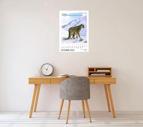 Image of Tallenge - Wild - 2025Wall Calendar - 12 x 17 Inches for Home & Office (Paper, Wall Calendar)