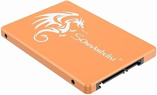 Somnambulist SSD 120GB SATA III 6GB/S Interno Disco sólido 2,5”7mm 3D NAND Chip Up To 520 Mb/s (Dourado Dragão-120GB)