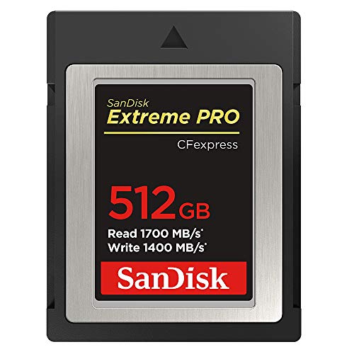 SDCFE-512G-JN4NN GNXg[v CFexpress Type B 512GB
