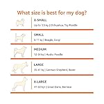 Amazon-Basics-Cooling-Elevated-Pet-Bed-Small-36-x-22-x-75-Inches-Green