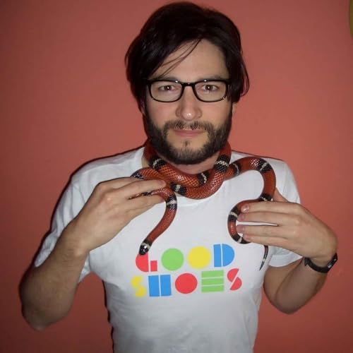 Steve Ludwin on discovering Good Shoes & much much more