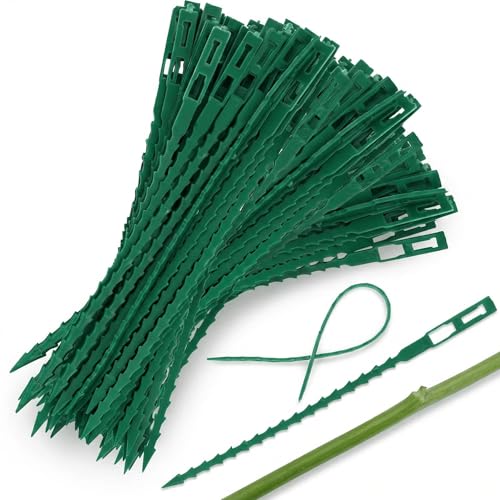 Aeutabs 100 Stück Verstellbarer Pflanzenbinder Pflanzkübel Pflanzenbinder Grün 23cm Pflanzen Anbinder Gartenbinder für Gartenpflanzen Wachstum Pflege