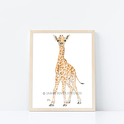 Safari Animal Nursery Prints Unframed Set Of 4, Pick Your Baby Animals And Size, Original Watercolor Art Signed By Artist #TOP5