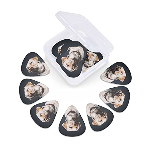 Ensemble de 12 médiators de guitare pour chien Labrador mignon pour guitare acoustique, guitare électrique, contrebasse… - Les Beatles, Paul McCartney, John Lennon, RIngo Starr, George Harrison Ensemble de 12 médiators de guitare pour chien Labrador mignon pour guitare acoustique, guitare électrique, contrebasse… – Image 7