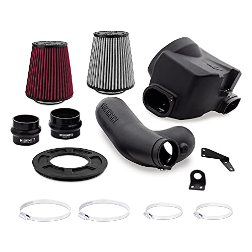 Mishimoto MMAI-F35T-17DW Performance Air Intake, Compatible With 2017-2021 Ford F-150 2.7L & 3.5L EcoBoost, Dry Washable Filter