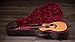 Taylor 214ce Plus Acoustic-electric Guitar - Natural