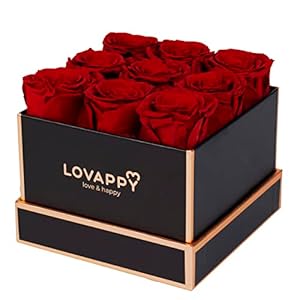 Preserved Roses in A Box – Roses That Last A Year – Eternal Rose Box – Flowers for Birthday – Long Lasting Roses in Box- Gift for Her, Mom, Wife(Red, 9pcs)