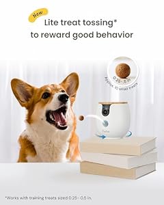 Furbo Mini 360° Camera [Core Features, No Ongoing Cost] — photo 6 of 6
