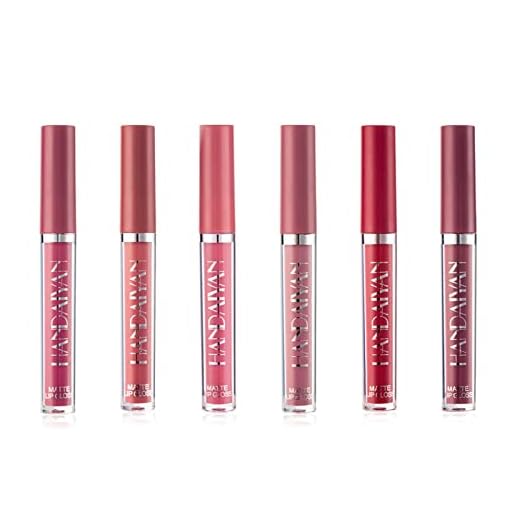 Layhou 6 uds de lápiz labial líquido, Kit de brillo de labios, Lápiz labial mate de larga duración para mujer brillo de labios hidratante portátil