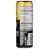 Zevia Zero Calorie Energy Drink, Pineapple Paradise, 120mg Caffeine, Zero Sugar, Non-GMO, 12 Fl Oz (Pack of 12)