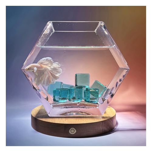 Tanque de pescado pequeño de vidrio transparente con base pentagonal para mesa 5