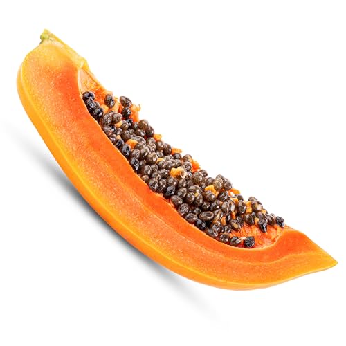 KVITER 20 Waimanalo Dwarf Papaya Seeds (Carica Papaya) &ndash; Heirloom & Non GMO Fast-Bearing Sweet Organic Fruit Seeds &ndash; Perfect Dwarf Fruit Tree Seeds for Planting in Containers, Outdoor & Indoor Garden