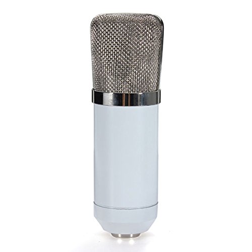 Microfono Di Voce Della Registrazione Dello Studio Fotografia Stock