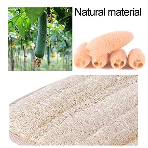 Hands-Free Natural Back Loofah for Shower,Back Scrubber for Shower, This Product is a Replacement