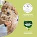 mammaly 13 in 1 Welpen Leckerlies für Hunde (650g) Puppy Power mit Präbiotika, Grünlippmuschel und Vitamin E - Gesundes Wachstum und Nervenfunktionen - Unterstützt Training