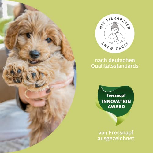 mammaly 13 in 1 Welpen Leckerlies für Hunde (650g) Puppy Power mit Präbiotika, Grünlippmuschel und Vitamin E - Gesundes Wachstum und Nervenfunktionen - Unterstützt Training