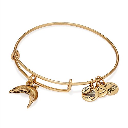 Dolphin Charm Bangle by ALEX AND ANI