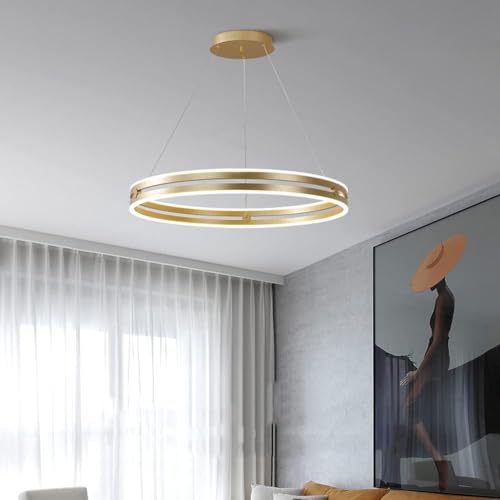 Suspension circulaire pour salon afin de remplacer un plafonnier trop agressif - 4