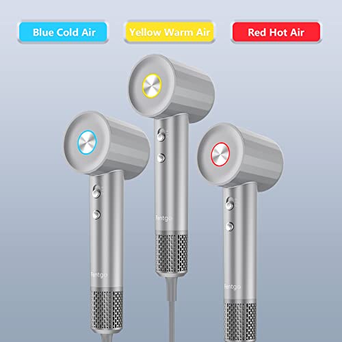 Fentgo High Speed Ionic Hair Dryer With Diffuser, Professonal Blow Dryers 110,000 Rpm Brushless Motor For Fast Drying, 1500W 4Temps /2Speeds, Thermo-Control Hairdryer For Women Home Travel (Grey) #TOP3