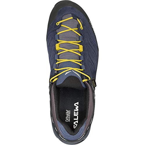 Salewa Mountain Trainer Gore-Tex Herren Wanderhalbschuhe, Blau, 9