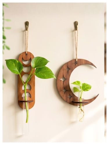 Image of Bombay Greens Wall Hanging Moon & Lunar Phase Planter with Wooden Holder & Rope | Test Tube Hanging Planter | Wooden Stand for Home Decor, Living Room, Balcony & Office Decoration