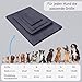 MyBestBuddy Hundekissen Premium orthopädisch mit 3 cm Vollschaum-Kern grau 80x60 cm L, Hundematte mit Stoffbezug, 40°C waschbar, allergikerfreundlich - Hundebett für mittelgroße Hunde, 80 x 60 cm