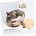 CORHAD Jumping Board Set Practical Squirrel Climbing Platform for Parrots Hamsters and Other Pets Durable Natural Design for Safe Playtime Household Accessory