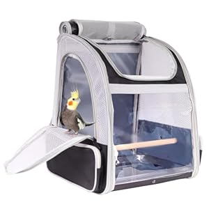 Bird Backpack Carrier with Stand Perch, Bird Travel Backpack for Hiking, Airline Approved Green Bird Backpack